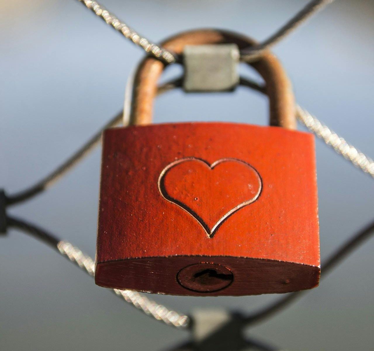 The Velocity of Love: We’re Connected