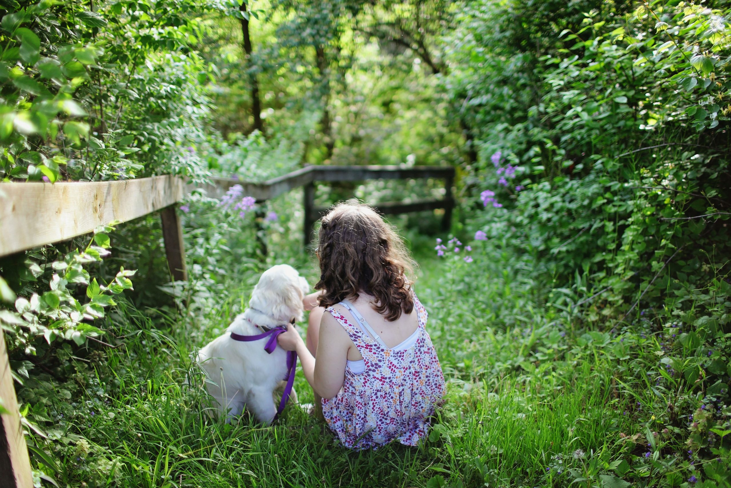 From worries to puppies and rainbows