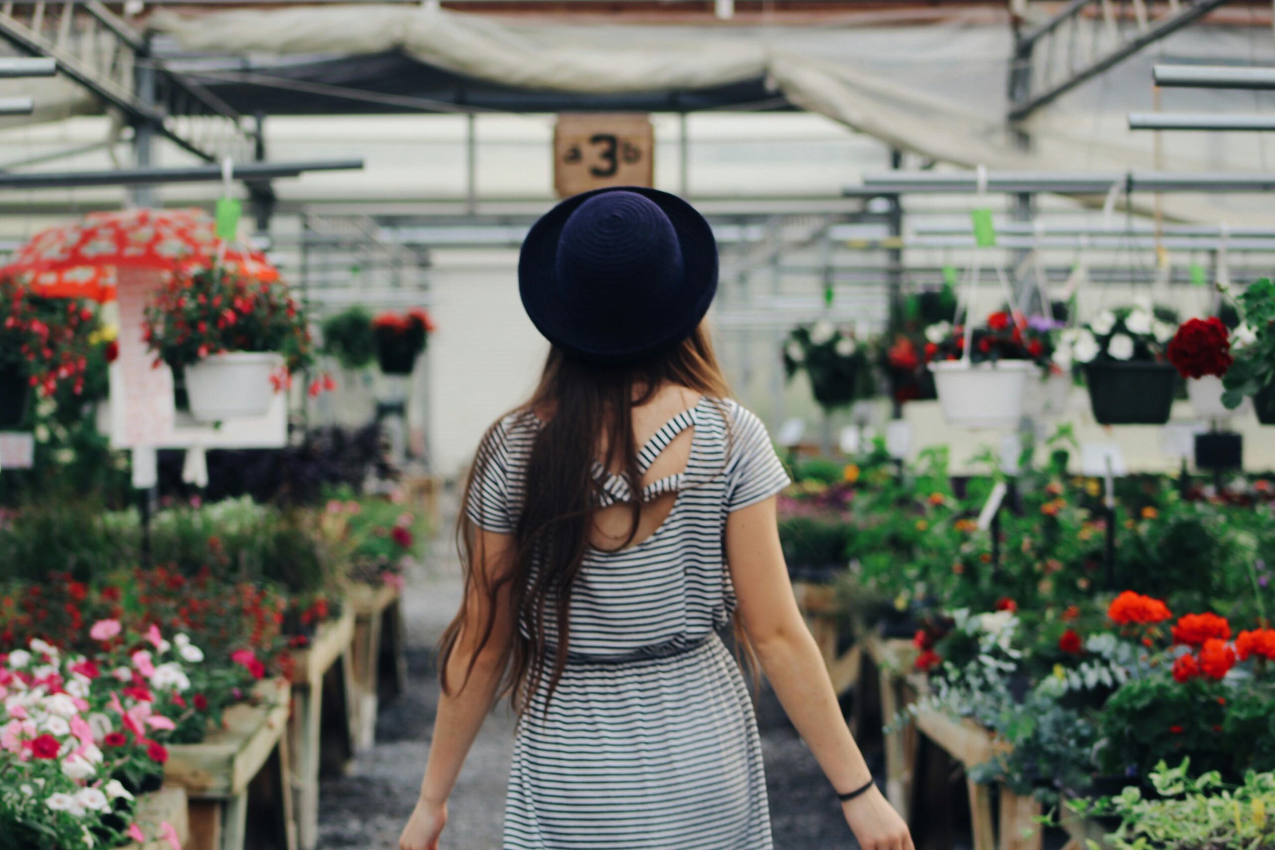 Make something beautiful in June: beautiful ground